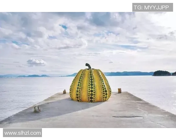 德岛旋涡与金泽的魅力碰撞探索两地文化与自然之美